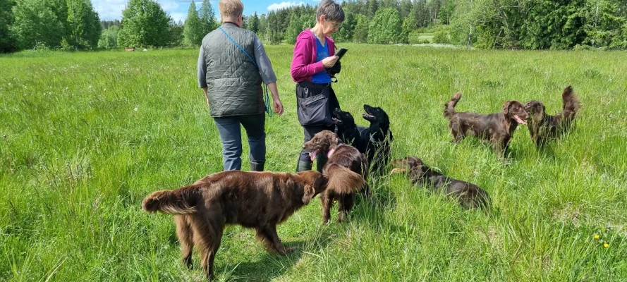 Kyllä me treenattiinkin. Kiitos osallistujille!