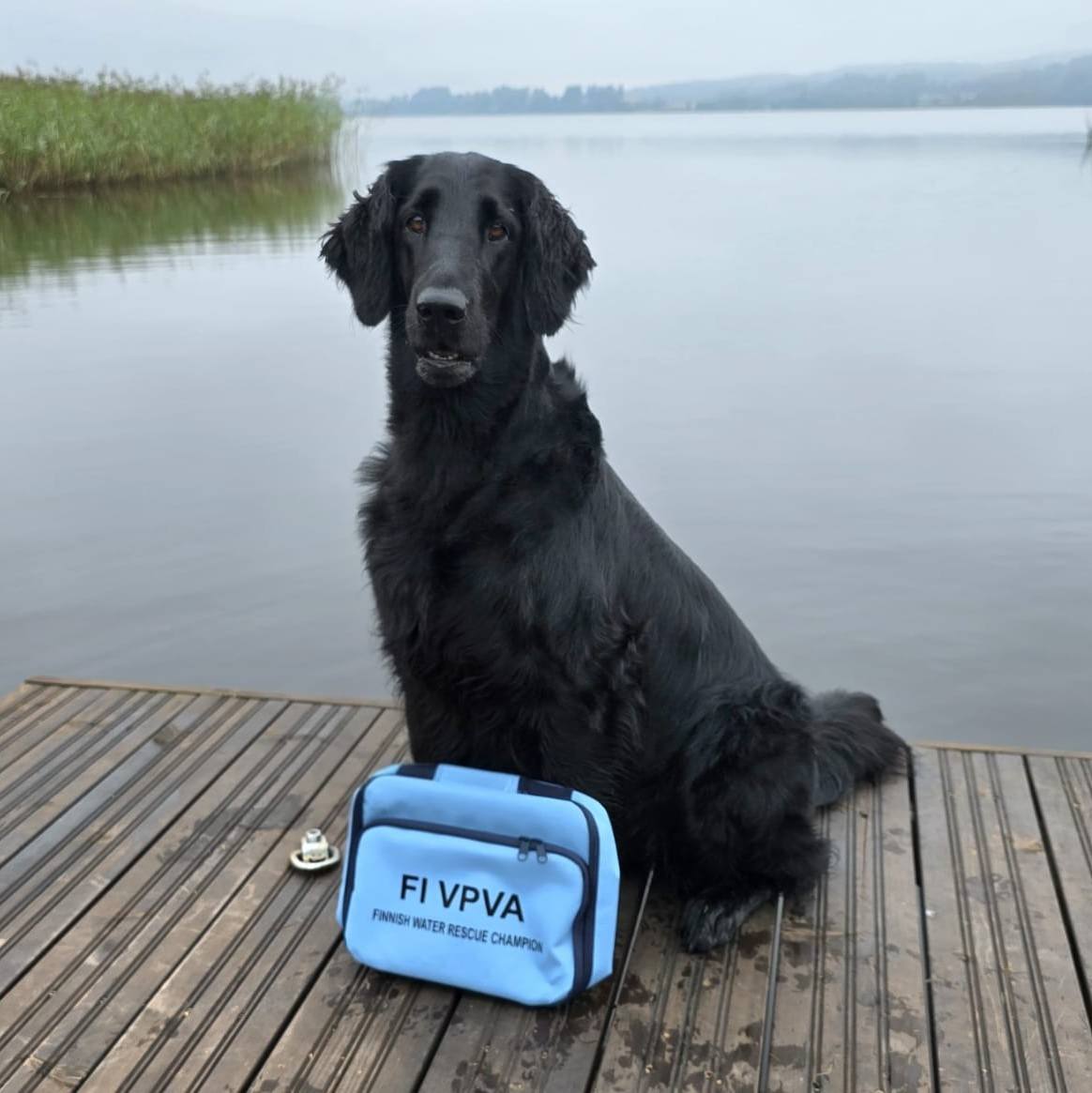 6.9.2025 Lumi FI VPVA